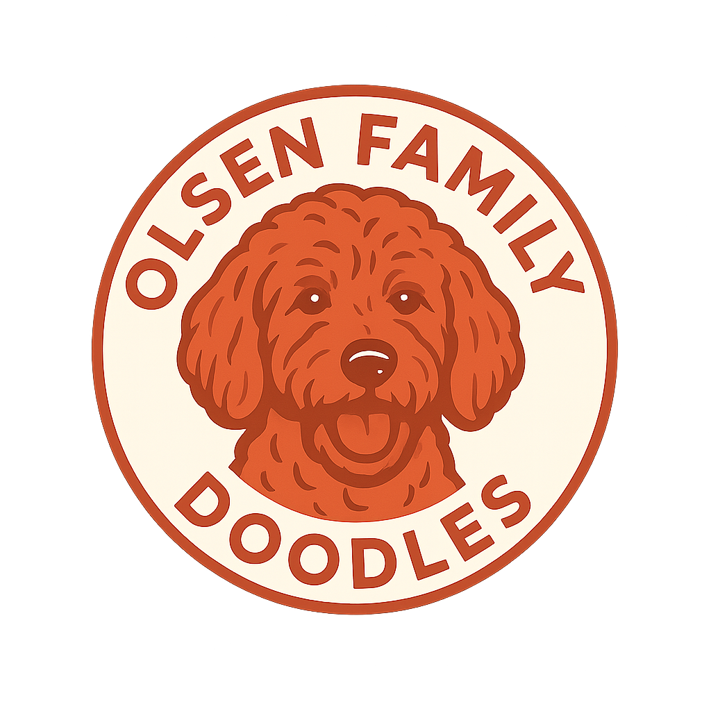 Olsen Family Doodles